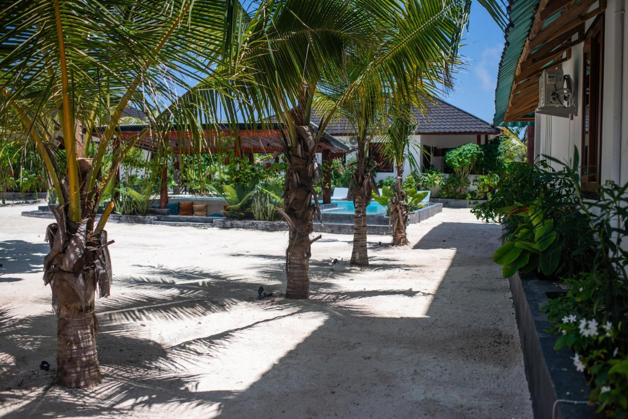 Baobab Bungalows Jambiani  Exterior foto