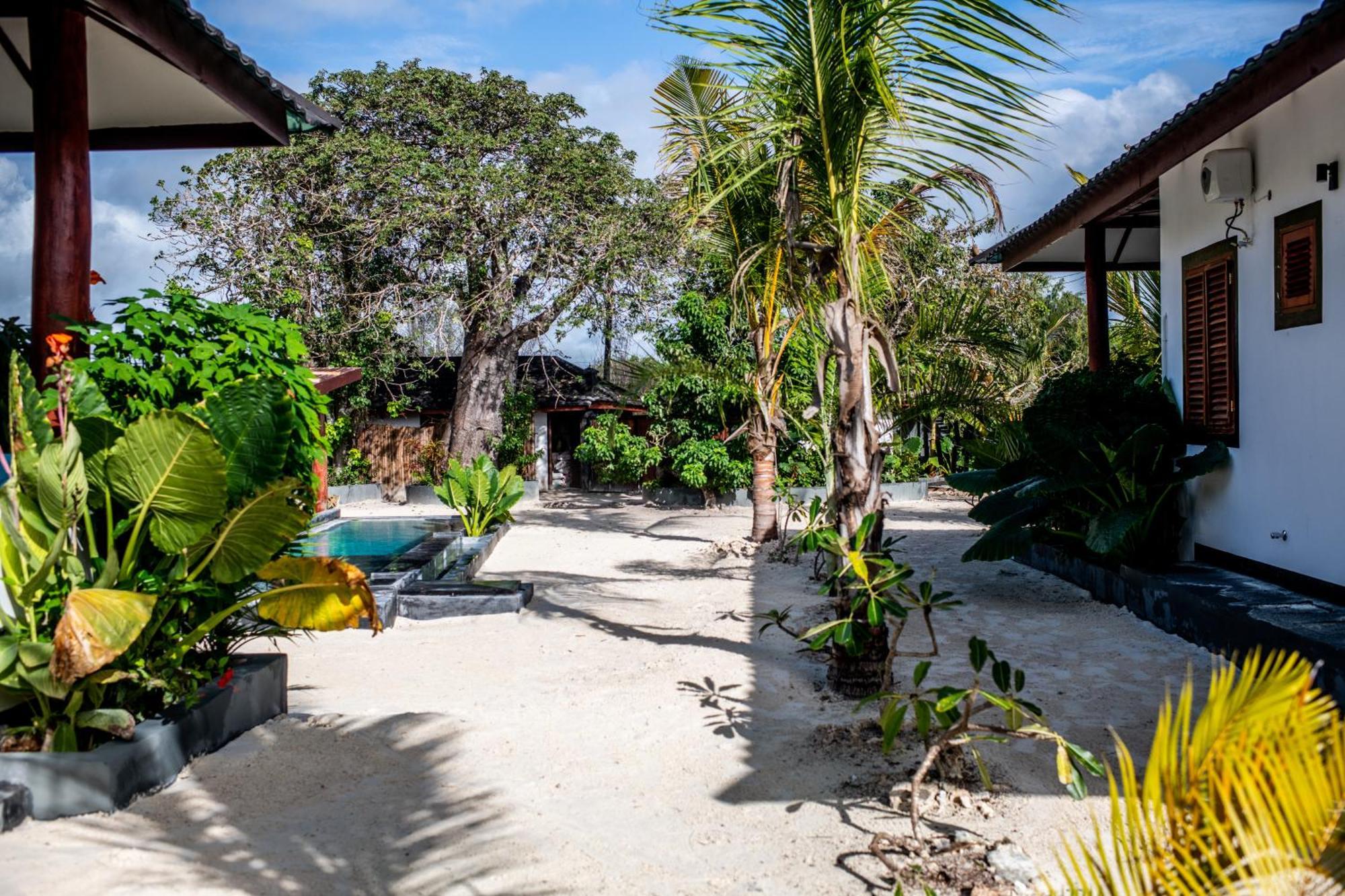 Baobab Bungalows Jambiani  Exterior foto